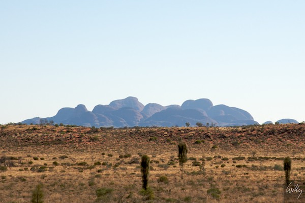 AustraliaAdelaide 10  108